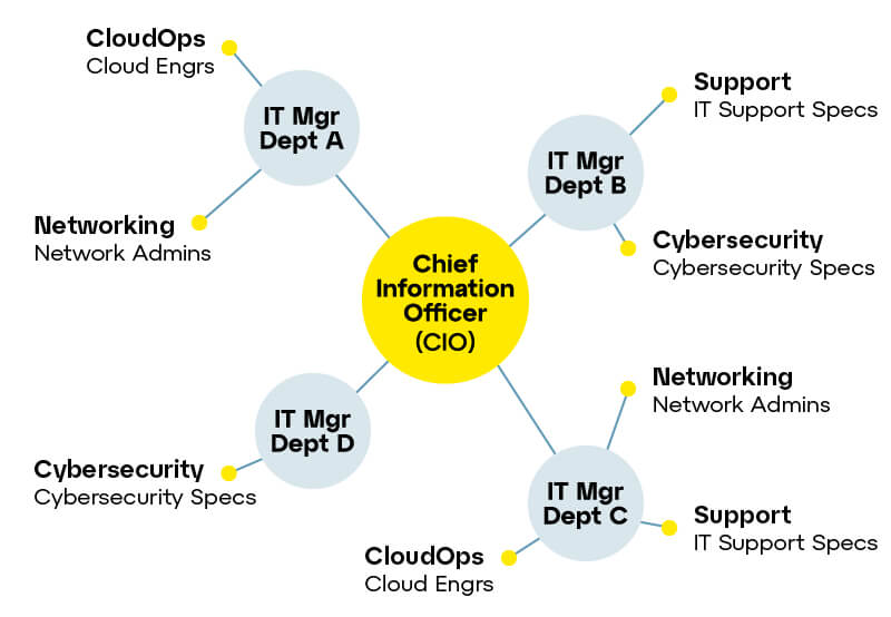 Decentralized IT department structure chart